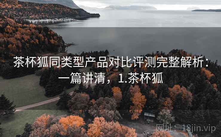 茶杯狐同类型产品对比评测完整解析：一篇讲清，1.茶杯狐