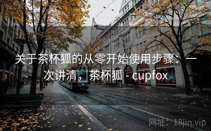关于茶杯狐的从零开始使用步骤：一次讲清，茶杯狐 - cupfox